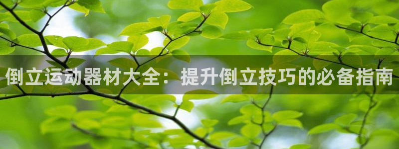 意昂3开户：倒立运动器材大全：提升倒立技巧的必备指南