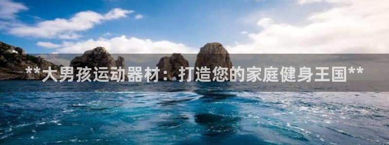 意昂体育3是干嘛的公司：**大男孩运动器材：打造您的