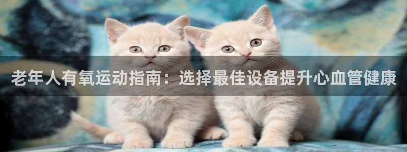 意昂体育3平台：老年人有氧运动指南：选择最佳设备提升