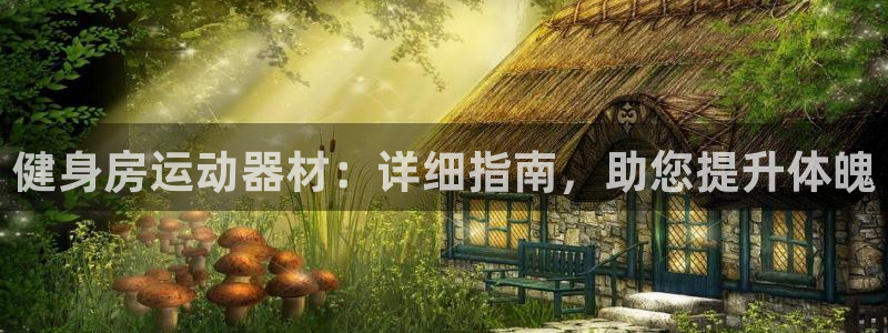 意昂体育3平台是正规平台吗安全吗：健身房运动器材：详