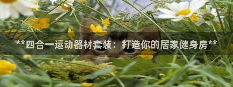 意昂3娱乐网站：**四合一运动器材套装：打造你的居家