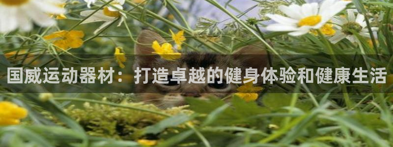 意昂3科技：国威运动器材：打造卓越的健身体验和健康生