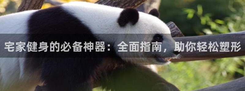 意昂体育3平台注册流程图：宅家健身的必备神器：全面指