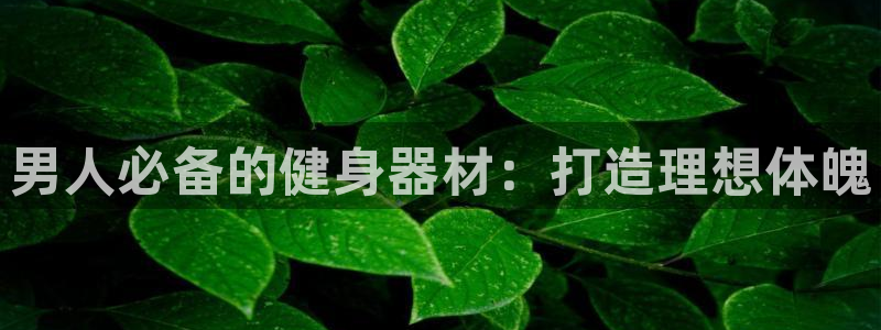 意昂体育3官方客服电话：男人必备的健身器材：打造理想