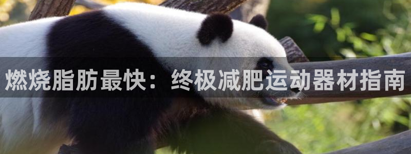 意昂体育3娱乐：燃烧脂肪最快：终极减肥运动器材指南