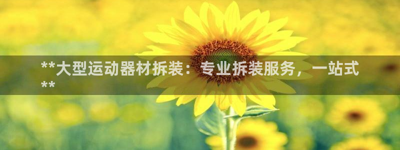 意昂体育3平台注册要钱吗是真的吗：**大型运动器材拆