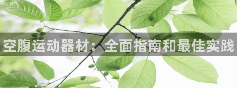 海南意昂体育3发展怎么样：空腹运动器材：全面指南和最