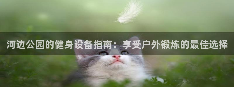 意昂3娱乐首页网站大全：河边公园的健身设备指南：享受