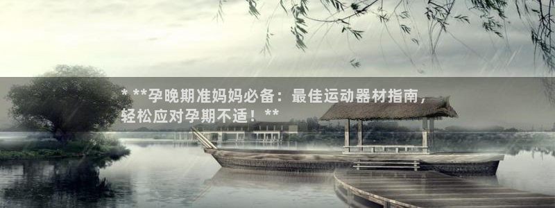意昂3娱乐平台：* **孕晚期准妈妈必备：最佳运动器