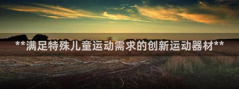 意昂3新能源：**满足特殊儿童运动需求的创新运动器材