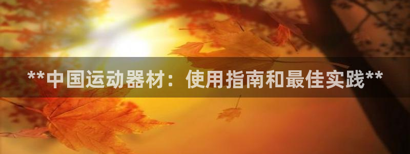 海南意昂体育3：**中国运动器材：使用指南和最佳实践