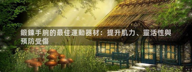 意昂3娱乐是那个系列的台子：鍛鍊手腕的最佳運動器材：