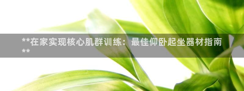 意昂体育3招商电话号码是多少号：**在家实现核心肌群