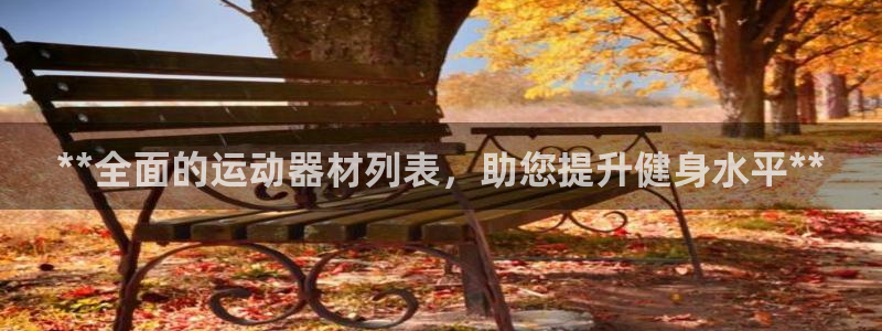 意昂3娱乐平台：**全面的运动器材列表，助您提升健身