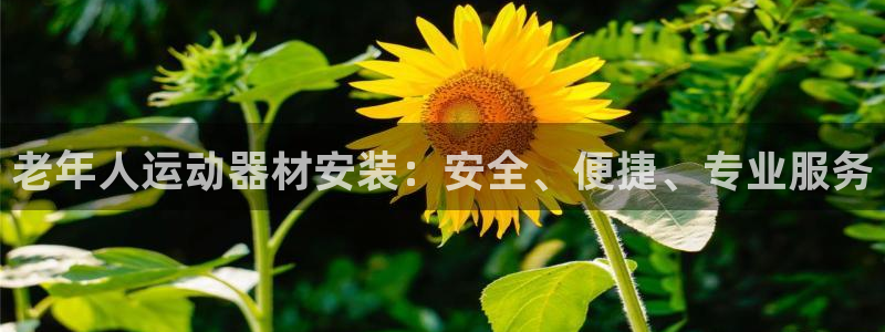 意昂体育3招商电话号码查询：老年人运动器材安装：安全