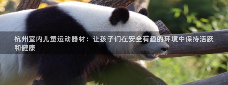 意昂体育3平台注册流程图：杭州室内儿童运动器材：让孩