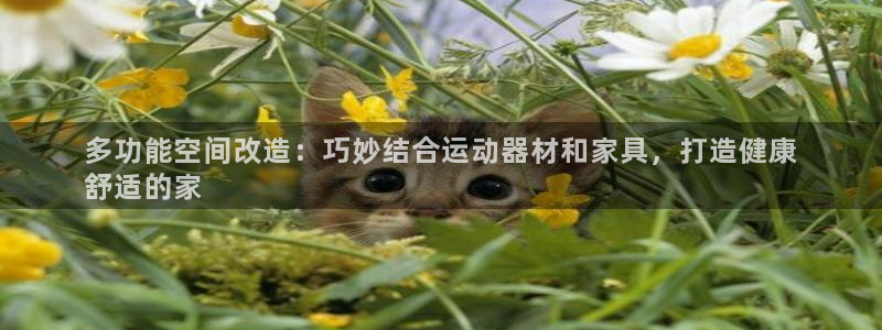 意昂体育3平台注册流程图：多功能空间改造：巧妙结合运