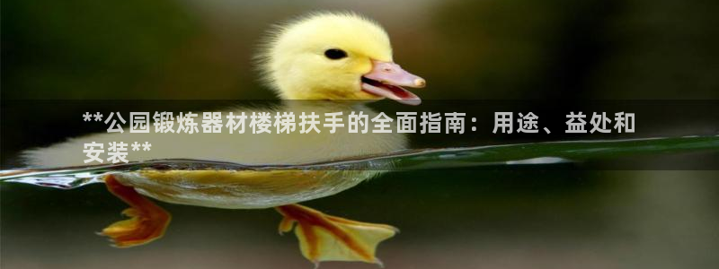 意昂体育3娱乐：**公园锻炼器材楼梯扶手的全面指南：