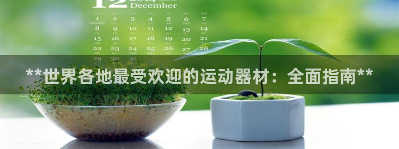 意昂体育3软件：**世界各地最受欢迎的运动器材：全面