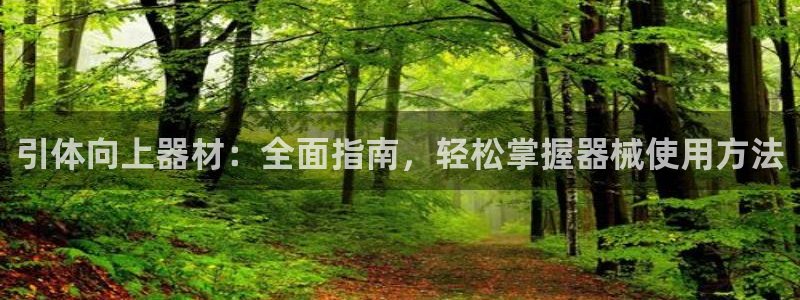 海南意昂体育3发展怎么样：引体向上器材：全面指南，轻