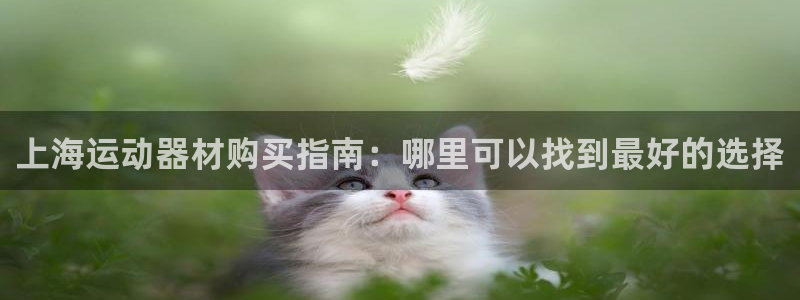 意昂体育3平台注册：上海运动器材购买指南：哪里可以找