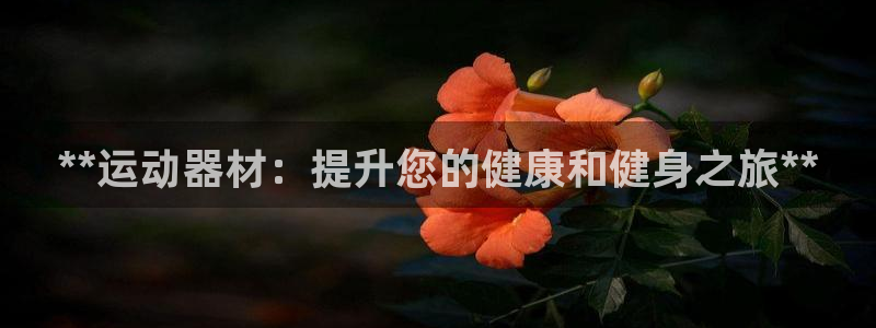 意昂3集团logo：**运动器材：提升您的健康和健身