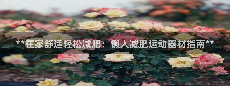 意昂体育3注册：**在家舒适轻松减肥：懒人减肥运动器