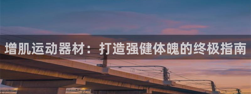 意昂体育3平台假的吗是真的吗：增肌运动器材：打造强健