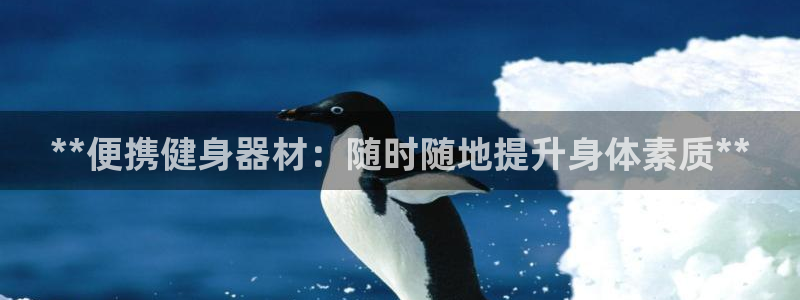 意昂集团官网：**便携健身器材：随时随地提升身体素质