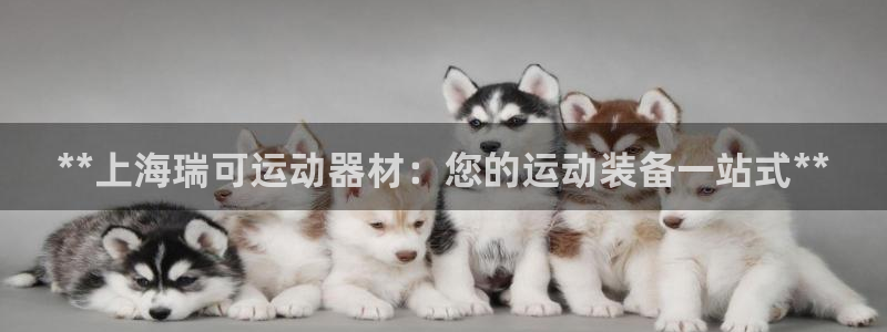 意昂体育3联系电话：**上海瑞可运动器材：您的运动装