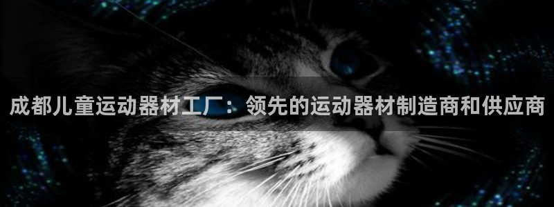 意昂体育3招商电话号码：成都儿童运动器材工厂：领先的