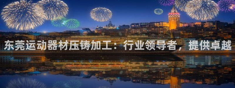 意昂集团官网：东莞运动器材压铸加工：行业领导者，提供
