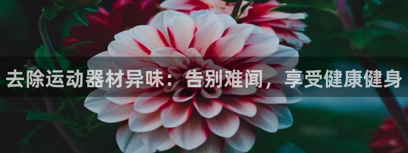 意昂体育3招商电话号码：去除运动器材异味：告别难闻，