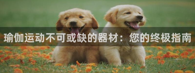 意昂体育3平台APP：瑜伽运动不可或缺的器材：您的终