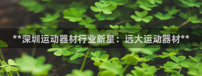 意昂3集团官网网址：**深圳运动器材行业新星：远大运