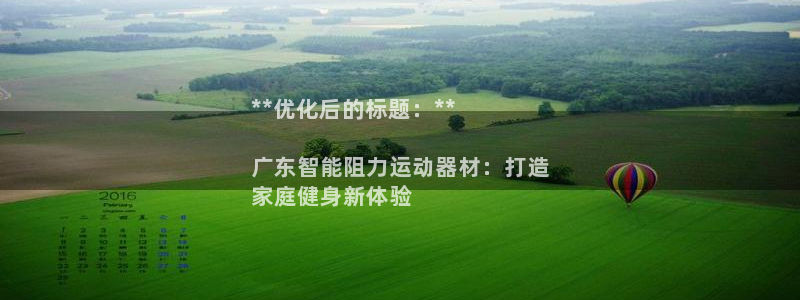 意昂3集团简介：**优化后的标题：**

广东智能阻