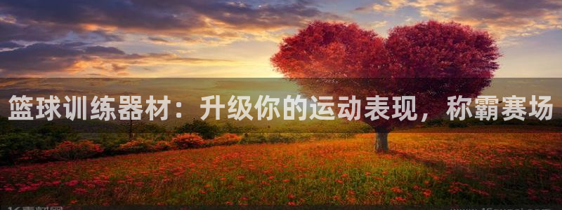 意昂体育3招商电话：篮球训练器材：升级你的运动表现，