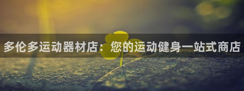 海南意昂体育3：多伦多运动器材店：您的运动健身一站式