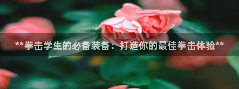 意昂平台体育：**拳击学生的必备装备：打造你的最佳拳