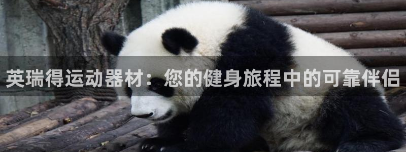 意昂3集团官网网址：英瑞得运动器材：您的健身旅程中的