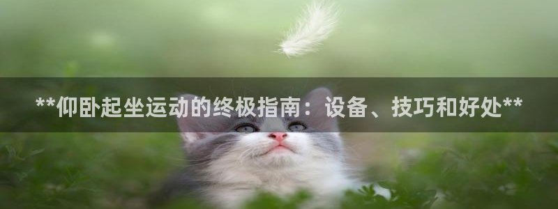 意昂3集团简介：**仰卧起坐运动的终极指南：设备、技