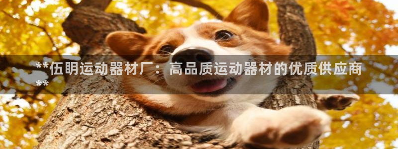意昂3官网：**伍眀运动器材厂：高品质运动器材的优质