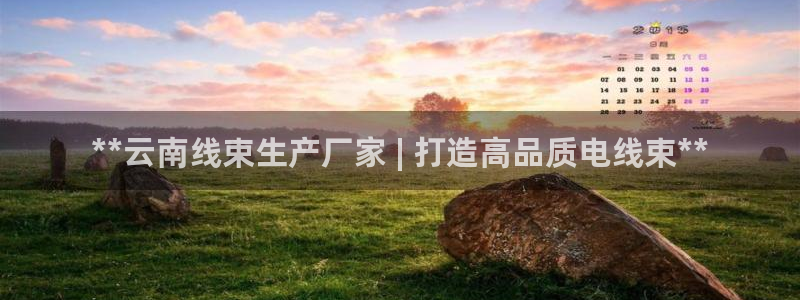 意昂体育3平台注册要钱吗是真的吗：**云南线束生产厂