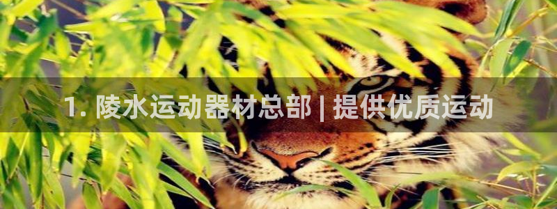 意昂3娱乐40996：1. 陵水运动器材总部 | 提