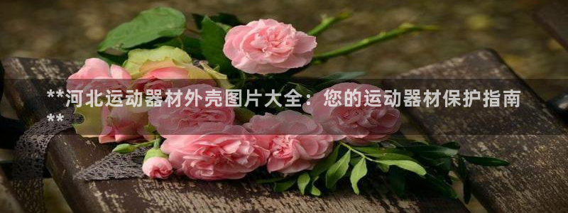意昂体育3招商电话号码：**河北运动器材外壳图片大全