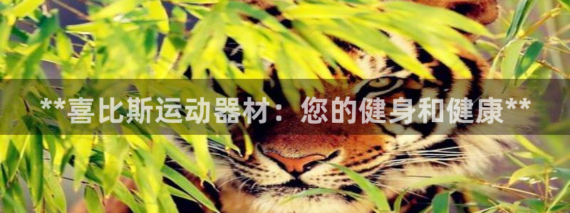 意昂体育3招商电话号码查询：**喜比斯运动器材：您的