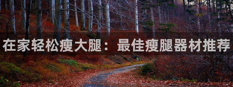 意昂集团官网：在家轻松瘦大腿：最佳瘦腿器材推荐