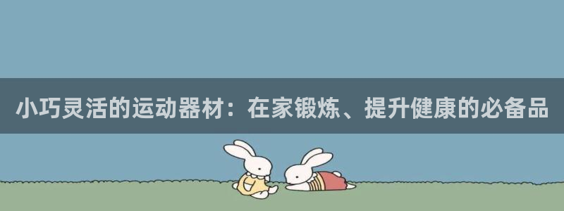 意昂体育3注册：小巧灵活的运动器材：在家锻炼、提升健