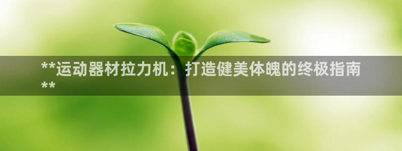 意昂体育3软件：**运动器材拉力机：打造健美体魄的终