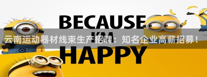 意昂体育3注册：云南运动器材线束生产招聘：知名企业高